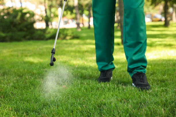 Best Best Pest Control Companies  in Church Hill, TN