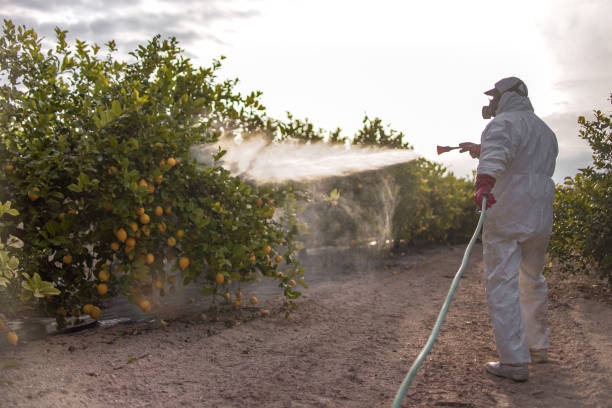 Professional Pest Control in Church Hill, TN