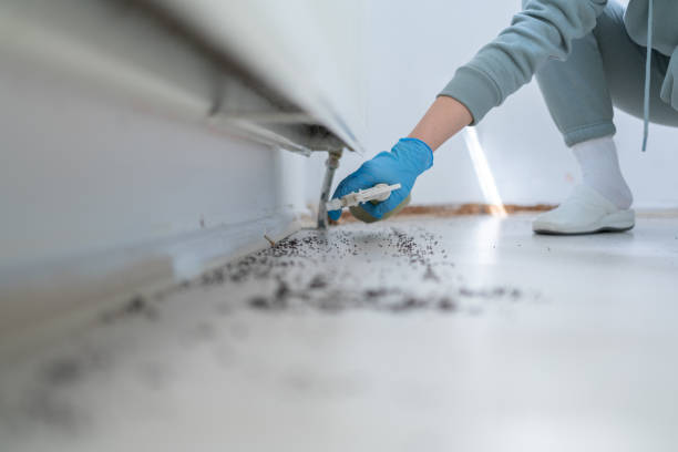 Best Affordable Pest Control Services  in Church Hill, TN